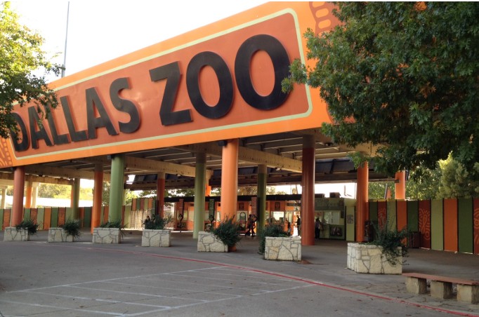 Dallas Zoo