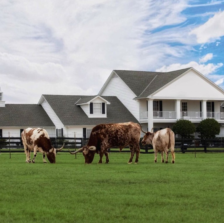 Southfork Ranch